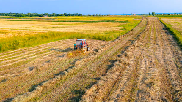 istock Farmer in tractor using a rotary rake to turn dry grass for hay 2169699861
