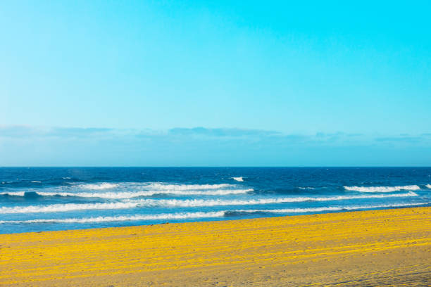 Sunny beach with waves crashing in the background. Ocean is calm and the sky is clear. The beach is empty and the waves are small