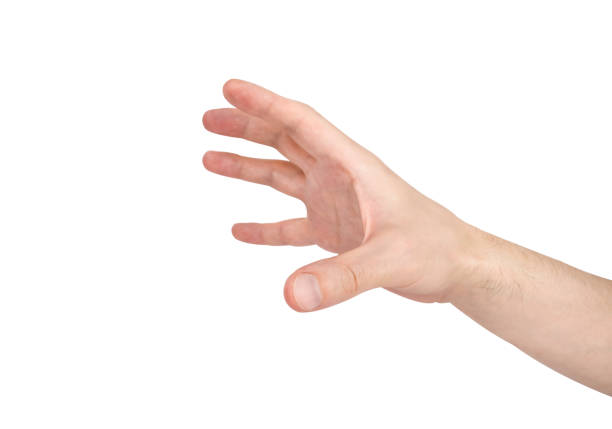 istock A man's hand catches or throws something fingers wide open. Hand isolated on white background. 2169709181
