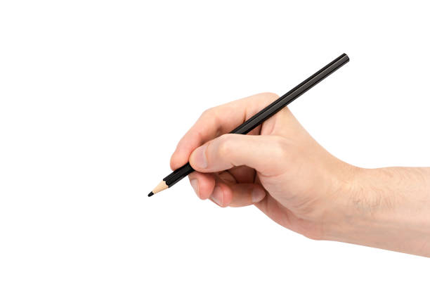 istock Man's hand holds the pencil isolated on white background. 2169709203