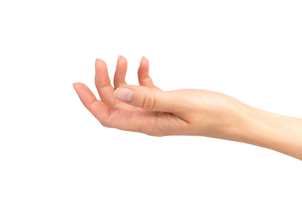 istock Young woman's hand isolated on white background. 2169709205