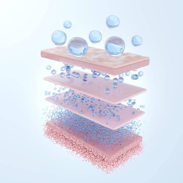 Diverse hyaluronic acid types