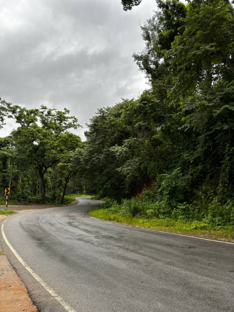 istock Beautiful road on a monsoon 2169712737