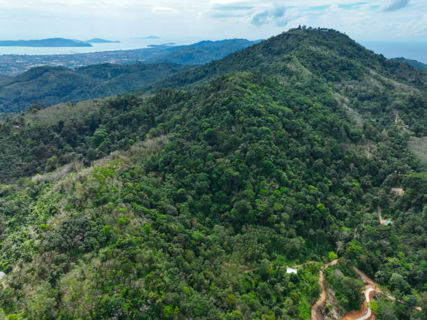 istock Aerial view Tropical Rainforest trees mountains 2169714498