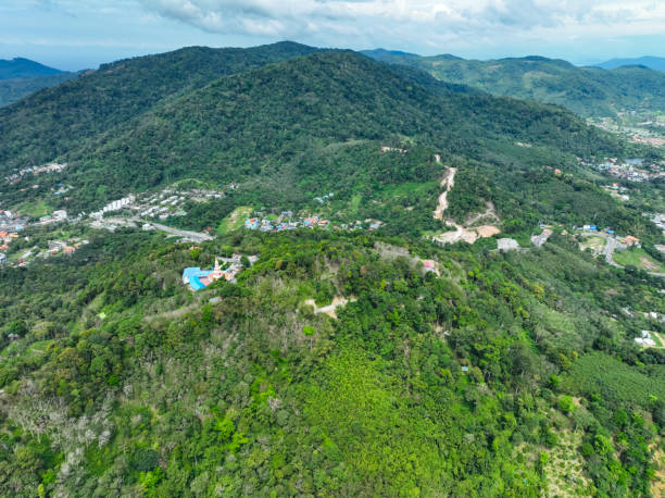 istock Aerial view Tropical Rainforest trees mountains 2169714499