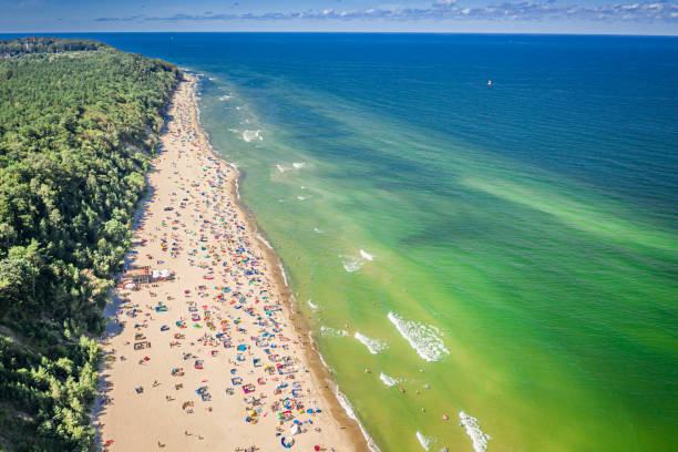 istock Crowded beach on Baltic Sea in summer 2020, aerial view 2169715449