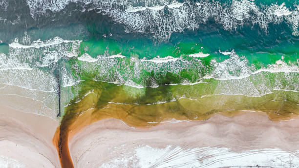 istock Industry pollution in water. Climate catastrophe. Baltic sea pollution. 2169715725