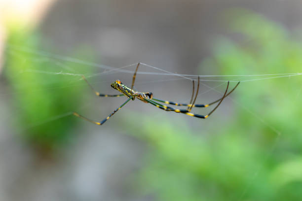 On its web