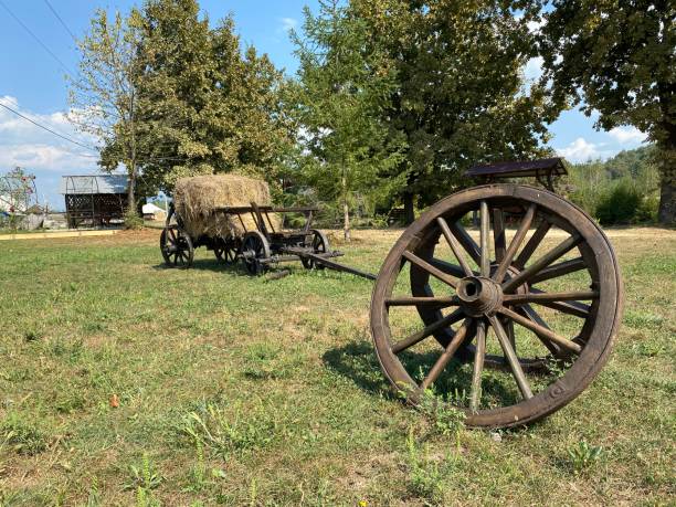istock old farm wagon in the park 2169718398