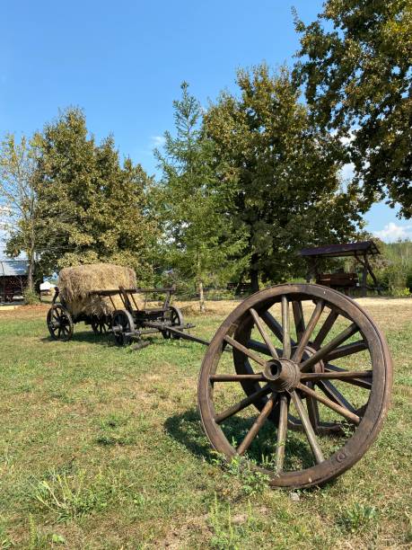 istock old farm wagon in the park 2169718399
