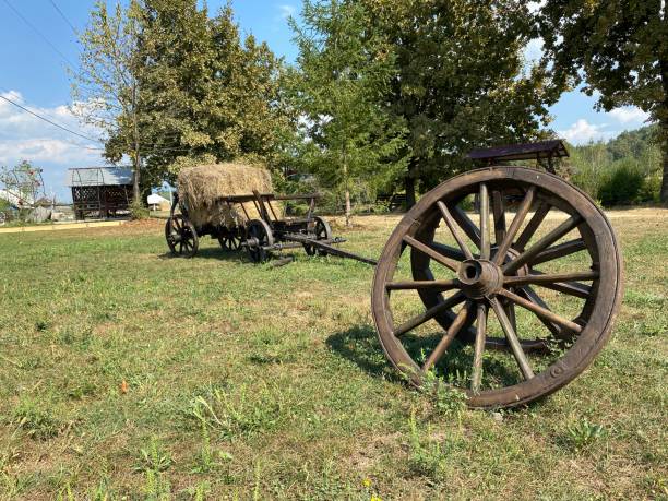 istock old farm wagon in the park 2169718407