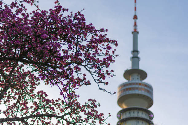 istock Torre olimpica - Olympiapark , Monaco di baviera 2169719219