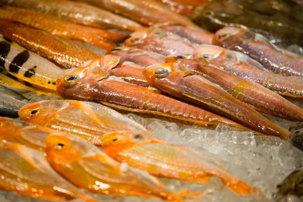 a market stall filled with various fresh, vibrant-colored seafood