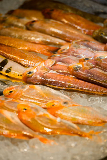 a market stall filled with various fresh, vibrant-colored seafood