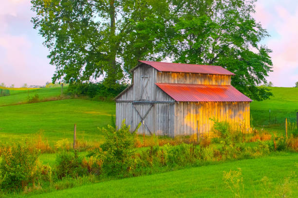 istock Old Weathered Barn at sunrise-Hamilton County, Indiana 2169724535