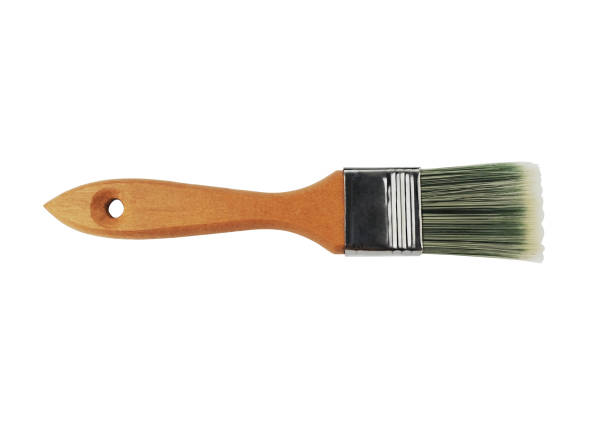 istock new paint brush on white background 2169726378