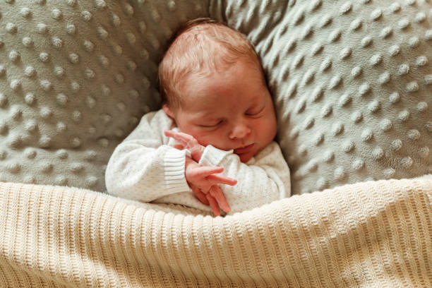 istock Cute Baby, Brothers, lying on his back 2169733811