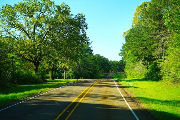 istock Driving through Sam Houston and Davy Crockett National Forest Texas 2169741086