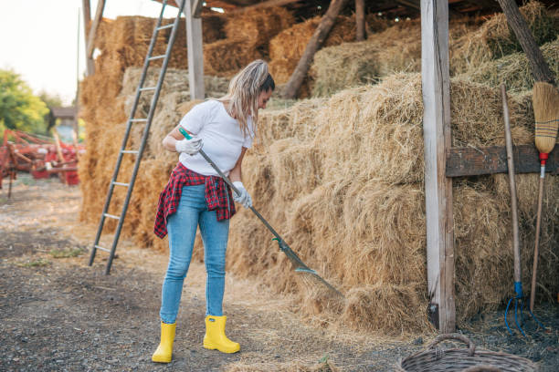 istock Young cheerful woman farmer working on a farm, using a pitchfork to move hay 2169741201