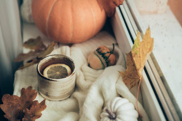 istock Cozy autumn still life 2169744753