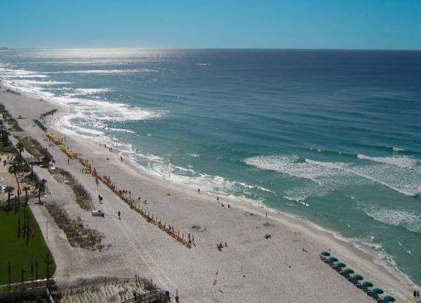 istock People start to gather along a beach 2169757806