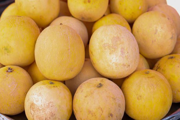 Group of yellow fresh ripe mini melons on local bazaar shelfe or market counter in Turkiye, season harvest, healthy fruits