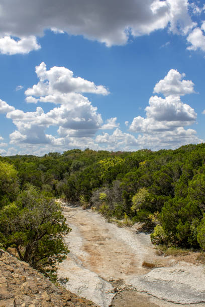 istock Trees with sky of clouds and ravine 2169764617