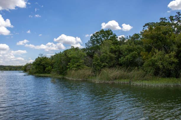 istock lake and trees landscape 2169764624