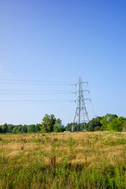istock A tall electrical transmission tower standing in a grassy field under a clear blue sky. 2169769197