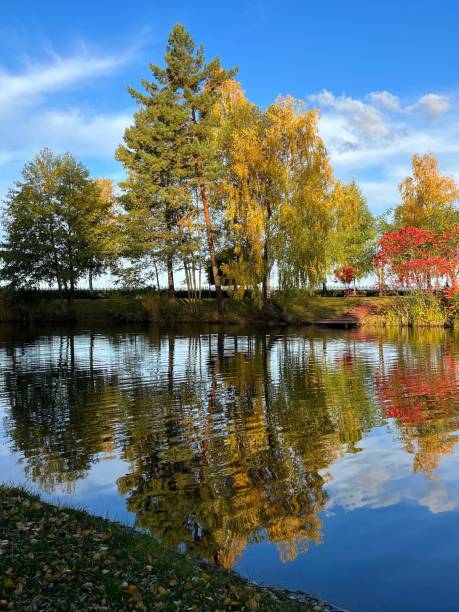 istock Autumn park and pond scenic landscape 2169769333