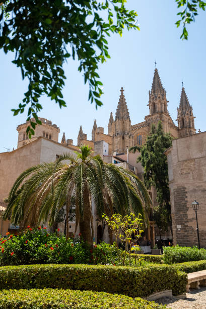 istock Palma de Mallorca Cathedral Spires Seen Through a Leafy Courtyard, Mallorca, Spain 2169769551