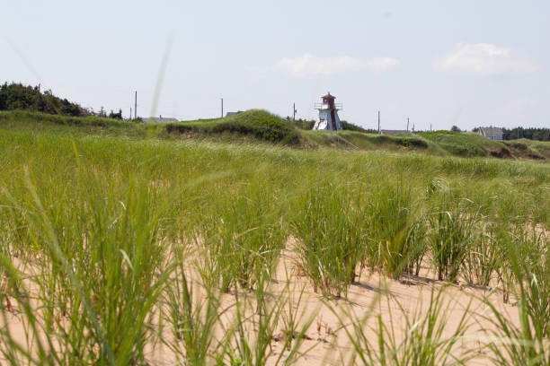 istock Prince Edward Island 2169771934
