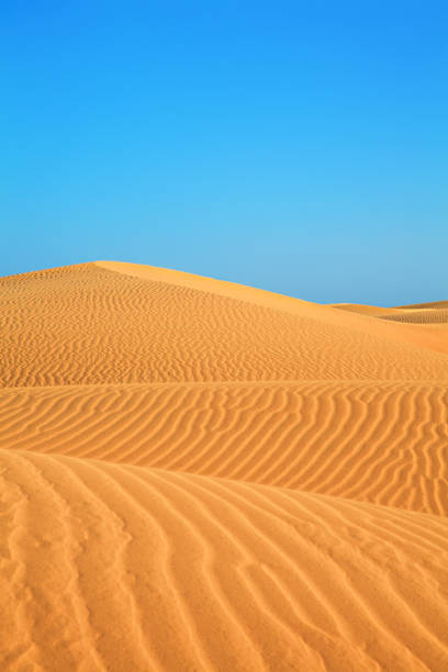 istock Dunes landscape, Maspalomas, Gran Canaria, Canary Islands, Spain. 2169775548