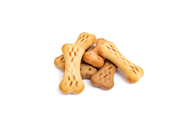 istock Bone shaped doggy treats pile isolated on white background 2169776807