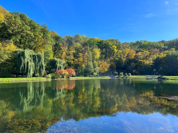 istock Scenic autumn park on lake shore 2169779456