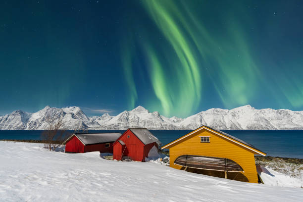 Northern lights in the arctic landscape, Norway Traditional fisherman cottages in the snowy landscape under northern lights (aurora borealis), Lyngen Alps, Troms, Nord-Norge, Norway, Scandinavia tromso stock pictures, royalty-free photos & images
