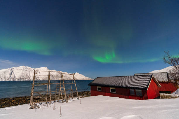 istock Rorbu surrounded by snowy peaks under northern lights (aurora borealis), Norway 2169784651