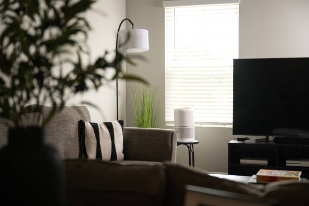 istock Air Purifier in Living Spaces 2169795060