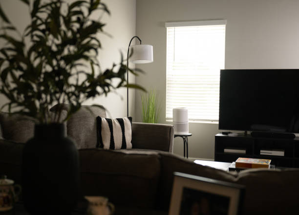 istock Air Purifier in Living Spaces 2169795070