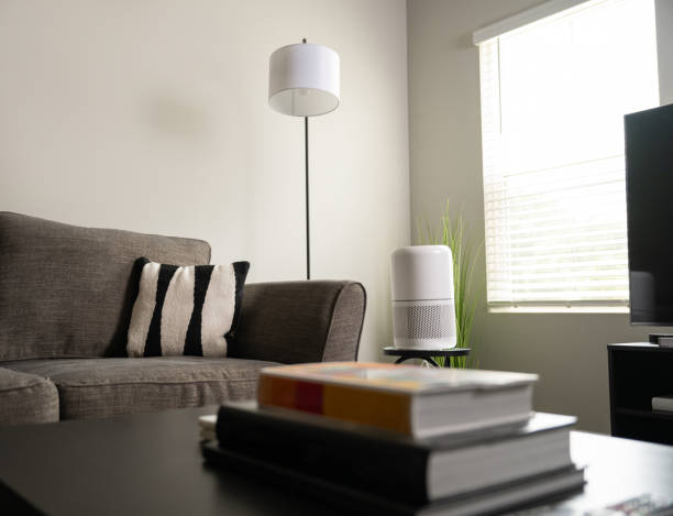 istock Air Purifier in Living Spaces 2169795086