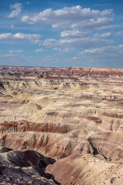 istock Badlands Formation in the Painted Desert 2169795231
