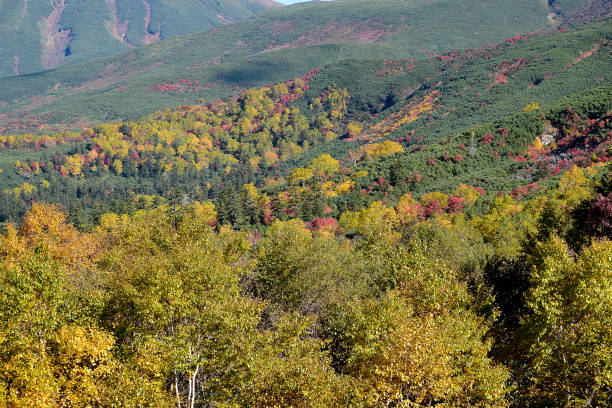 istock Colorful foliage in the mountains. 2169800904