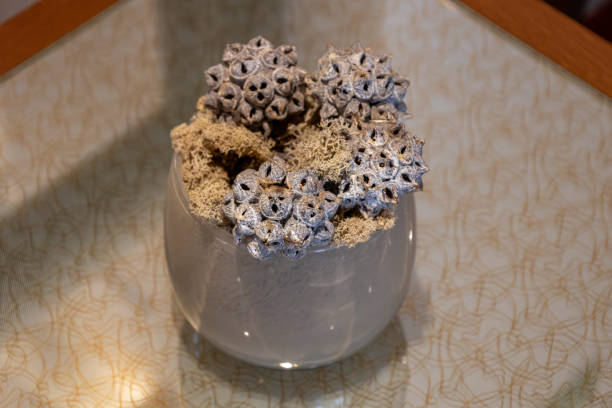 This image shows a close-up view of a table top decoration containing unusual natural seed pods.
