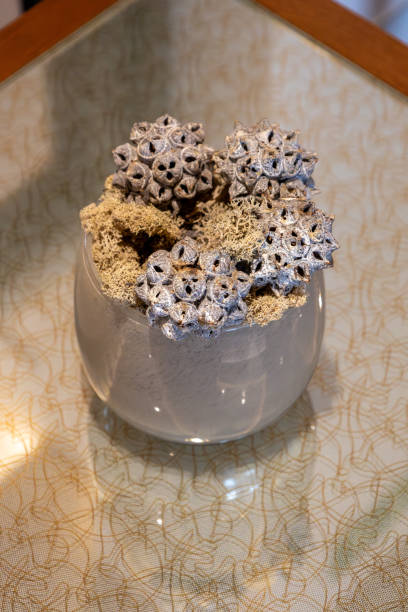 This image shows a close-up view of a table top decoration containing unusual natural seed pods.