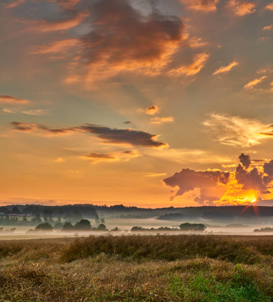 A photo of a vibrant country field in harvest