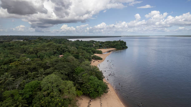 istock Sparsely urbanized forest region near the Amazon river 2169806034