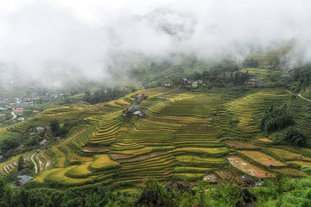 istock Sapa rice terrace field 2169807069