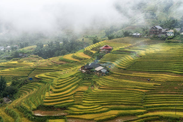 istock Farm house in Sapa Rice Terrace 2169807084