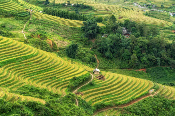 istock Rice Terrace View in Sapa 2169807252