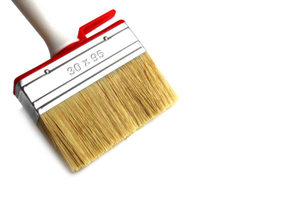 Paint brush, with wooden handle lies on a white background. The brush is made of natural bristles